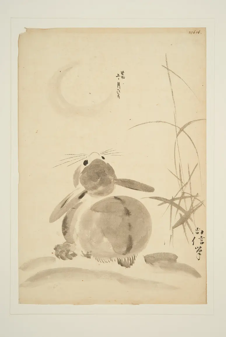 Hase den Mond betrachtend
