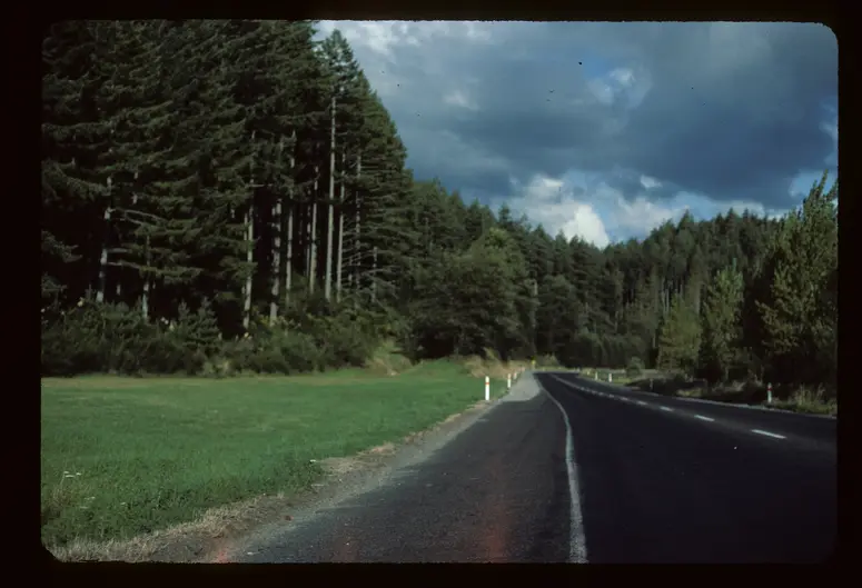 Farbdia: Kodachrome