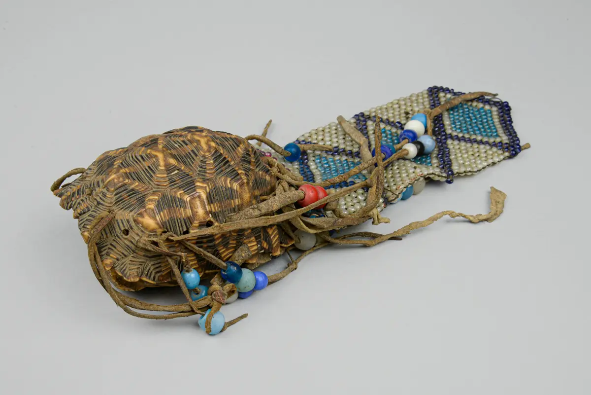 Schildkrötenpanzerbehälter