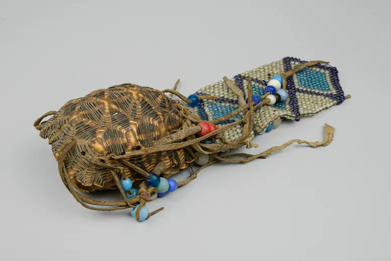 Schildkrötenpanzerbehälter