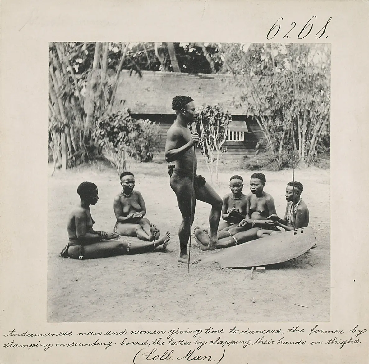 Andamanese man and women giving time to dancers, the former by stamping on sounding-board, the latter by clapping their hands on thighs