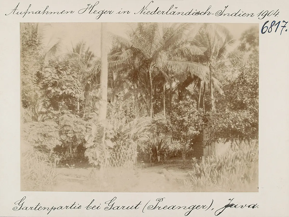 Gartenlandschaft bei Garut (Preanger), Java
