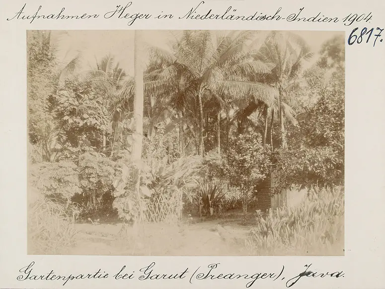 Gartenlandschaft bei Garut (Preanger), Java