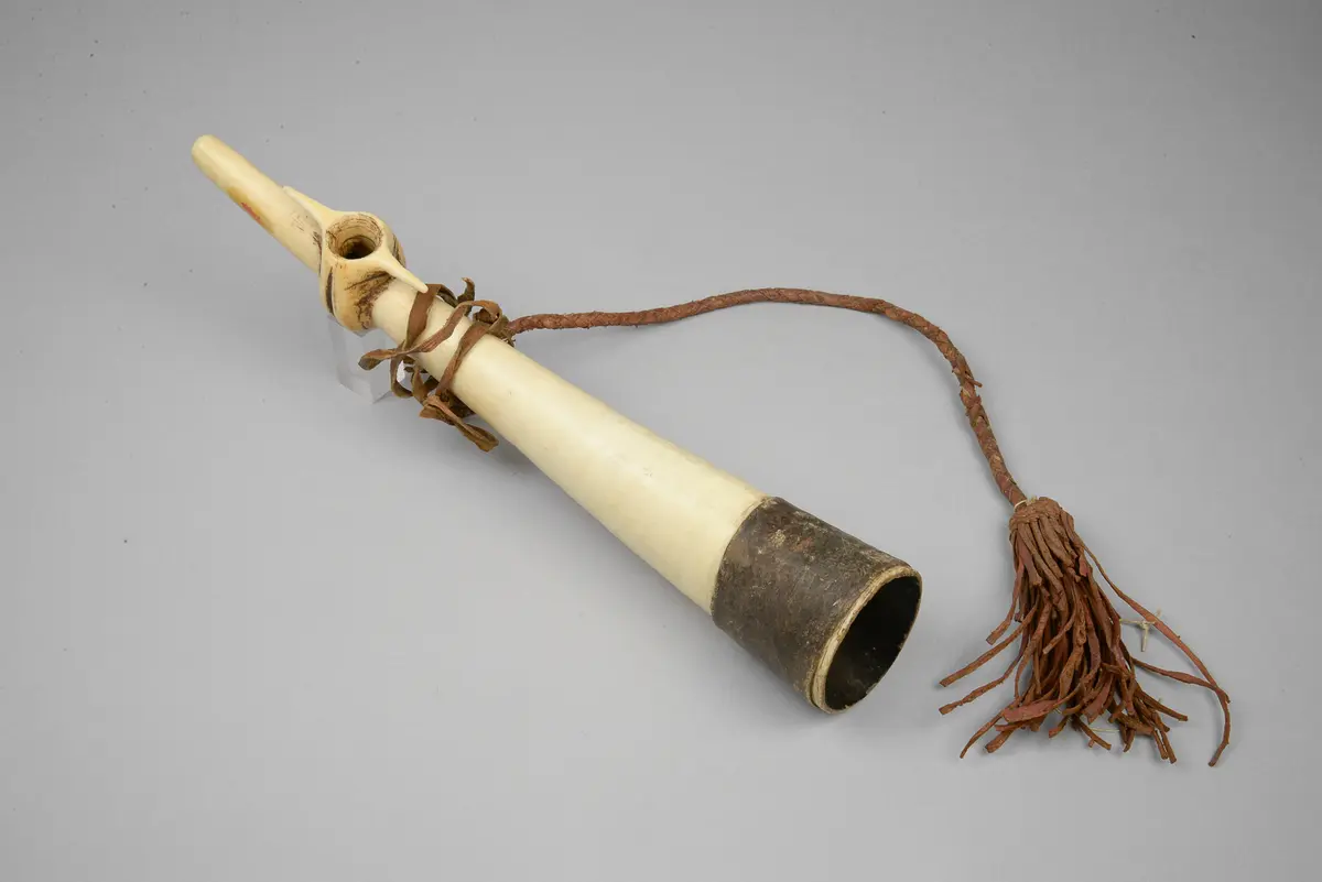 Instrument: Horn