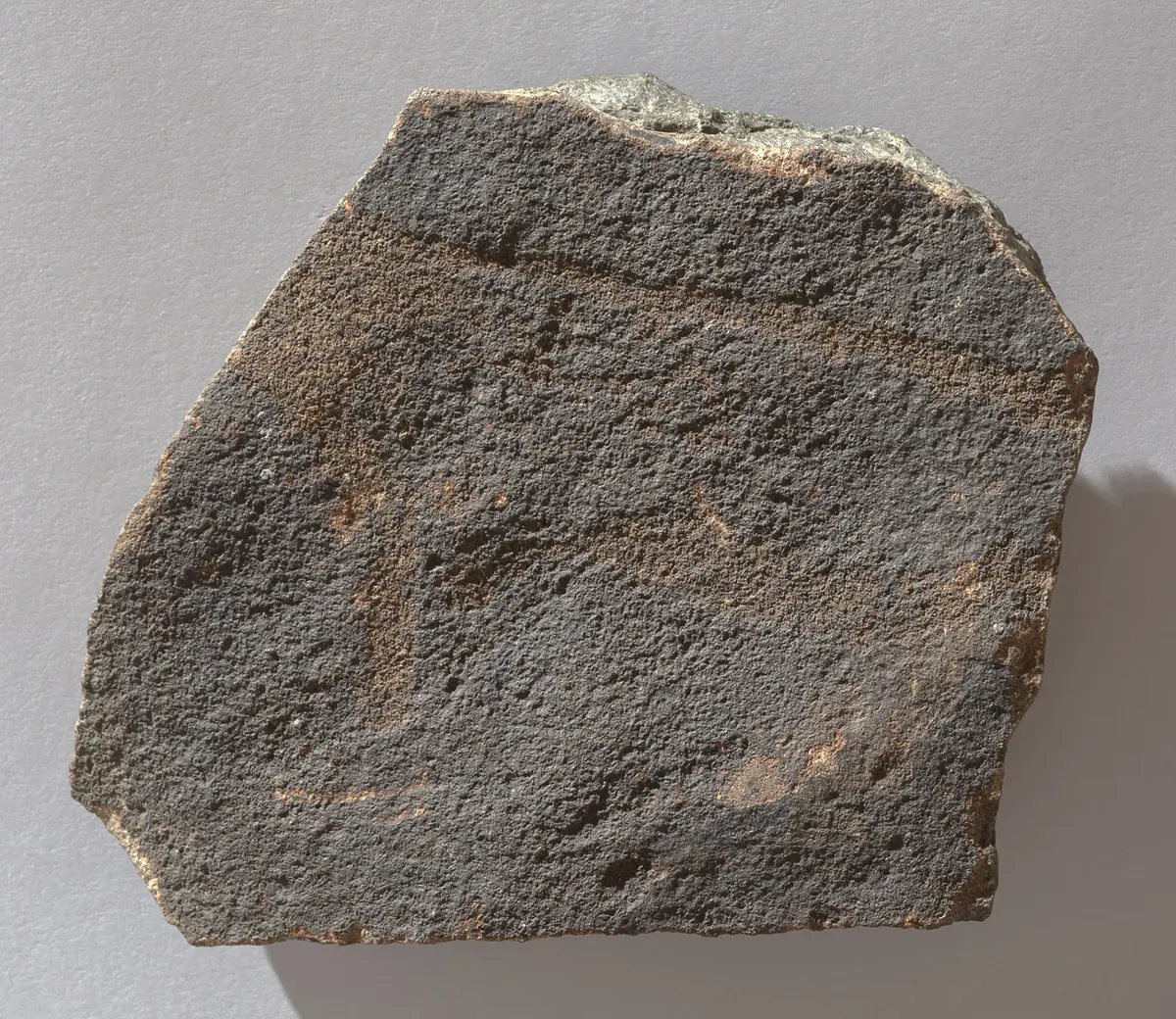 Felsgravierung: Rehantilope, Fragment