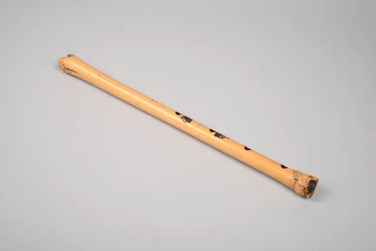 Instrument: Flute