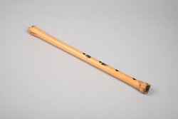 Instrument: Flute