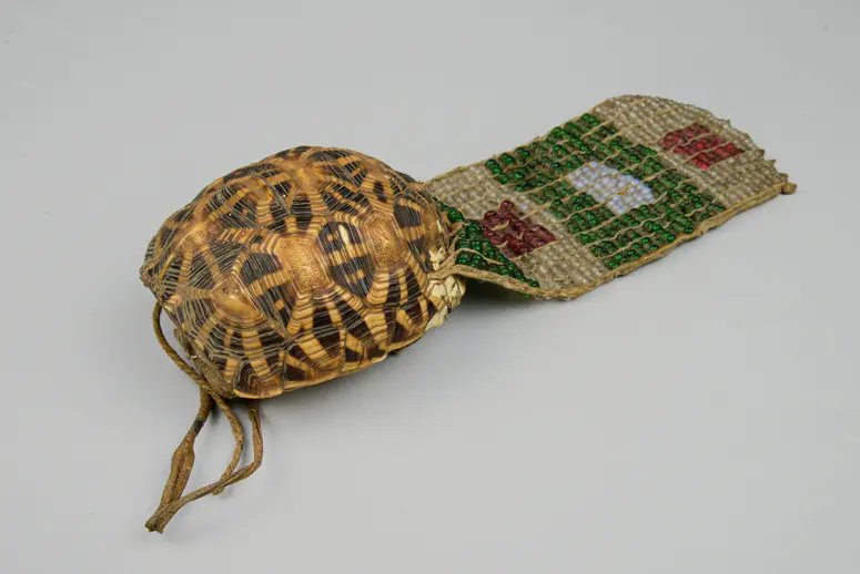 Schildkrötenpanzerbehälter