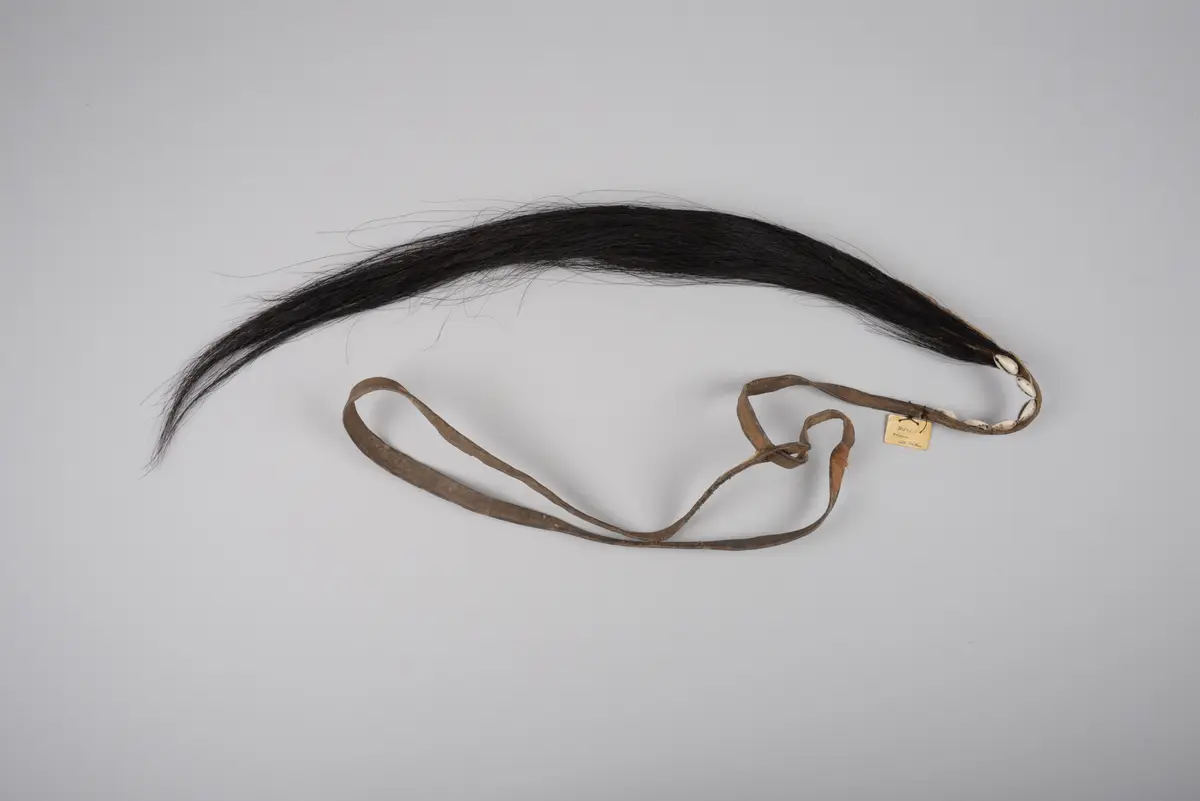 Rückenschmuck