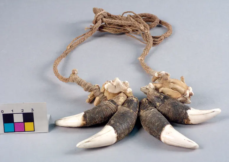 Forehead ornament
