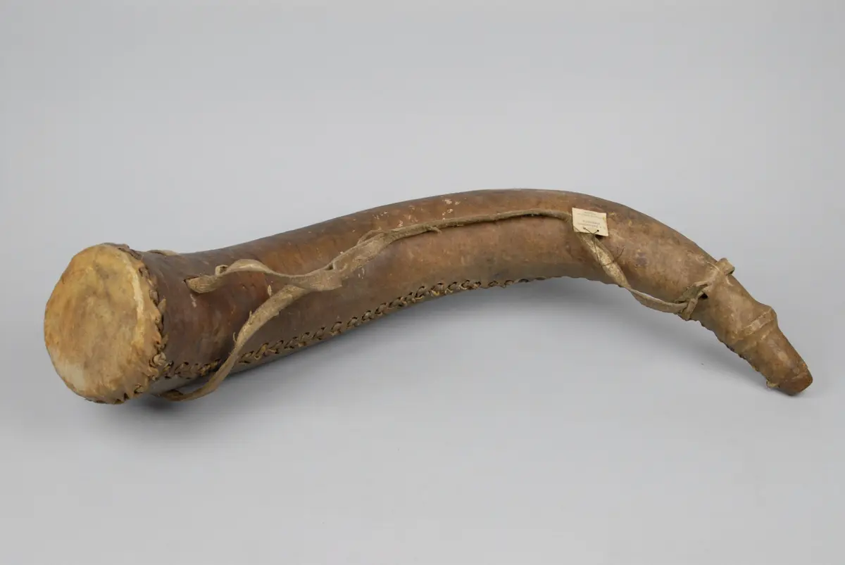 Horn