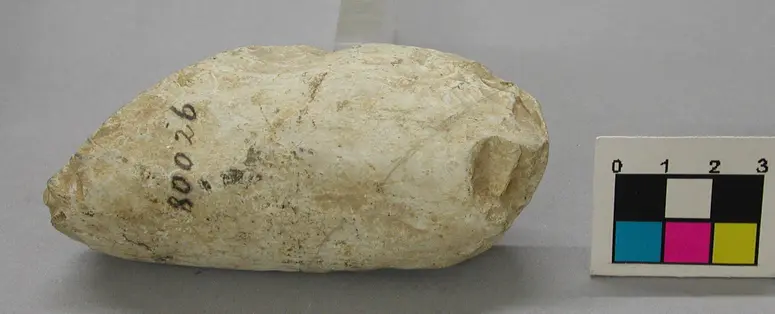 Steinbeil