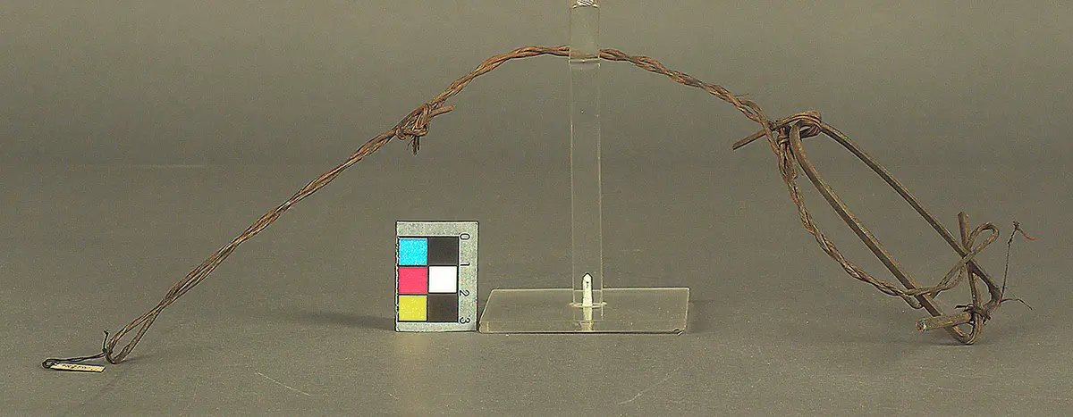 Vogelschlinge