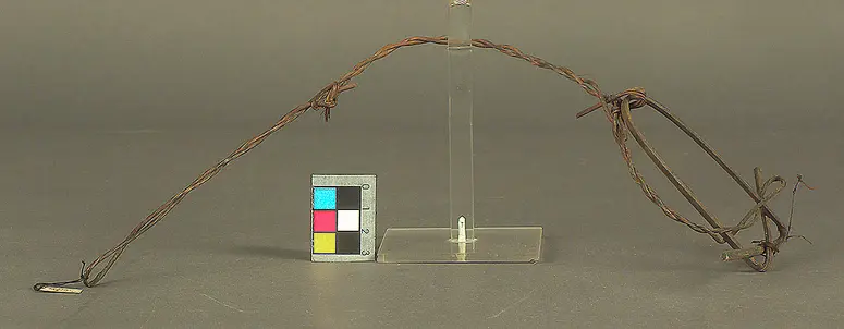 Vogelschlinge
