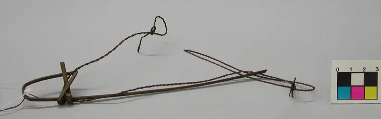 Vogelschlinge