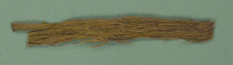 Siwak