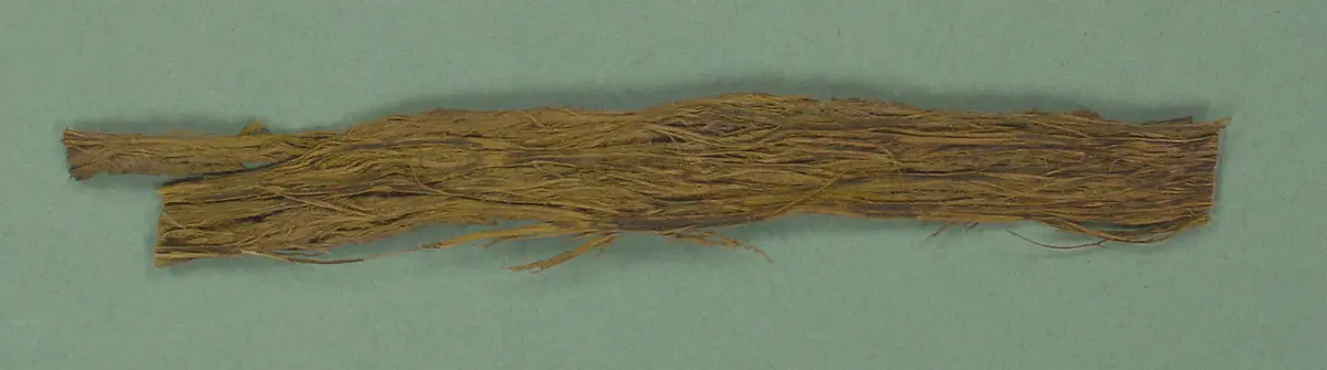 Siwak