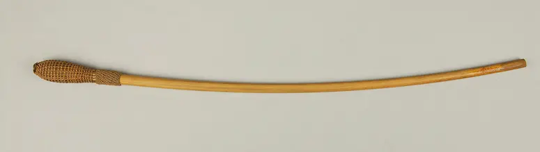 Saugrohr