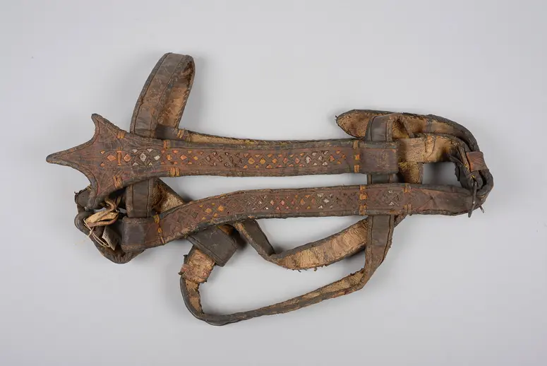 Horse halter