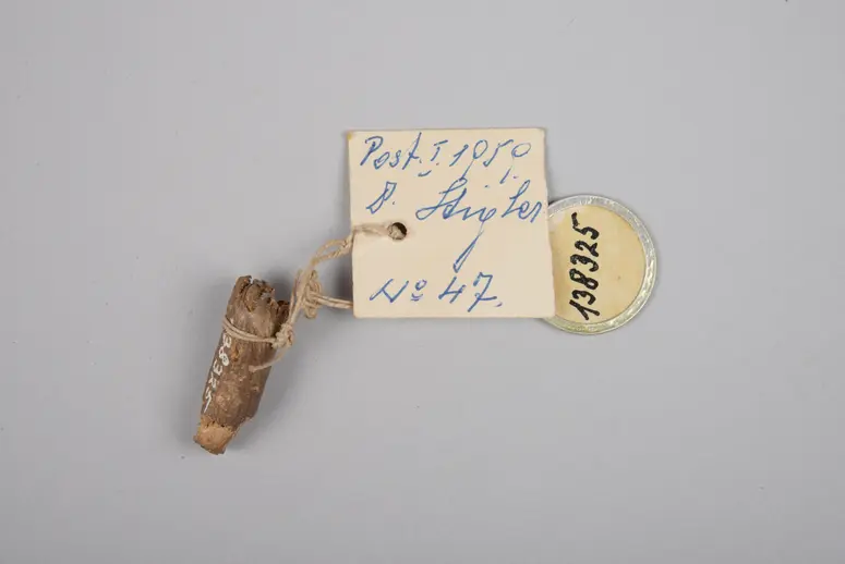 Holz (Amulett)