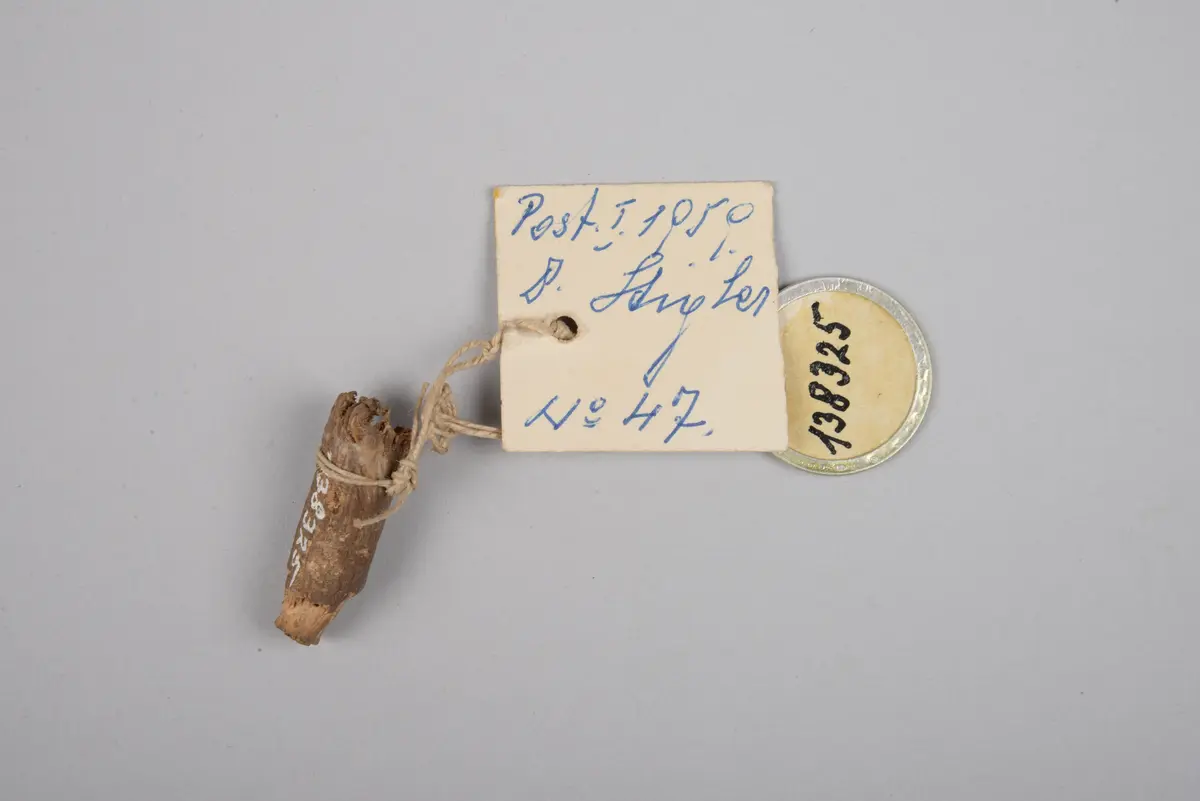 Holz (Amulett)