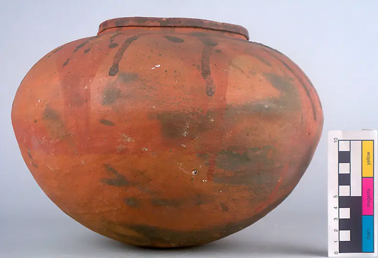 Pot