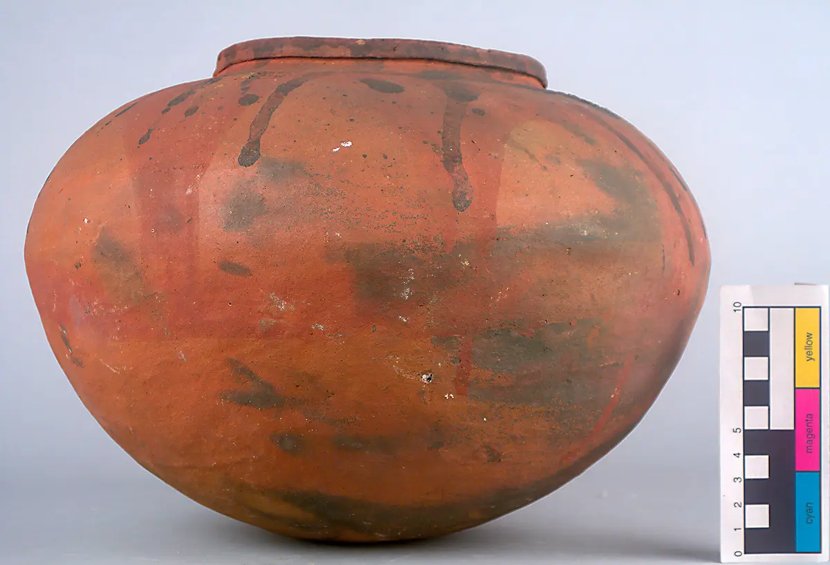 Pot