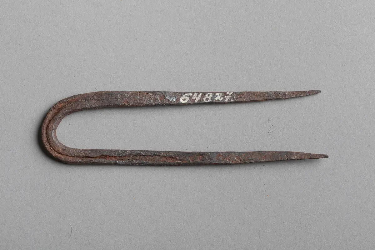 Nail