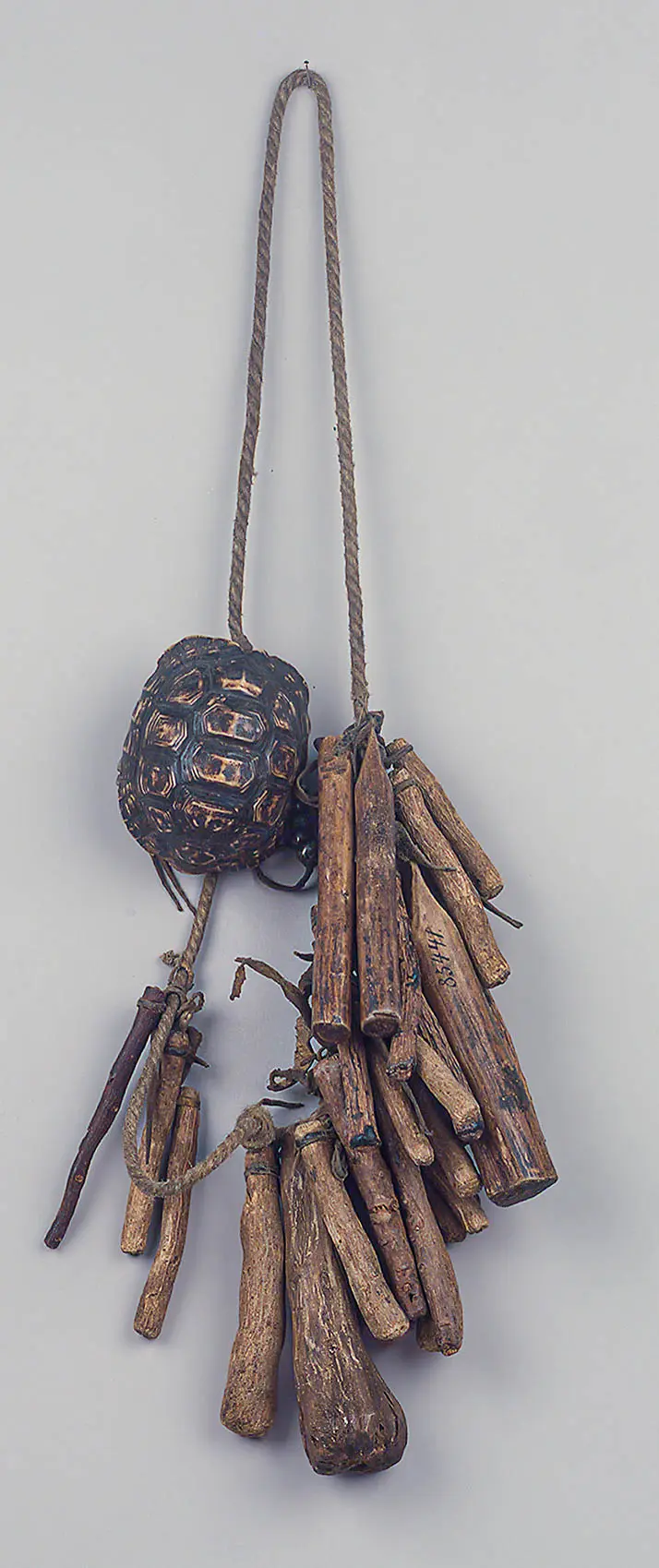 Schildkrötenpanzerbehälter mit Schmuckanhänger