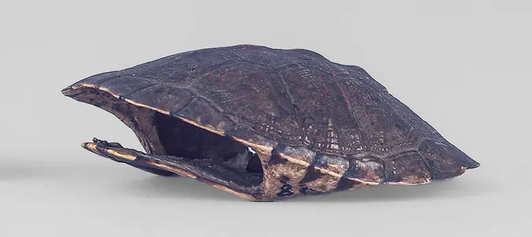 Schildkrötenpanzer (Tasche)