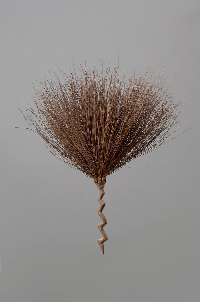 Fly whisk