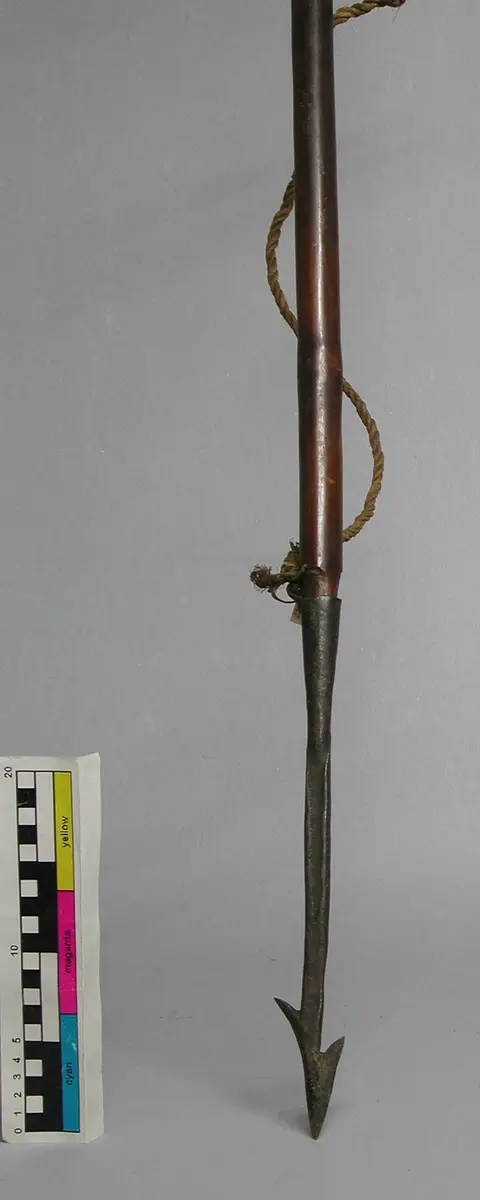 Fischharpune