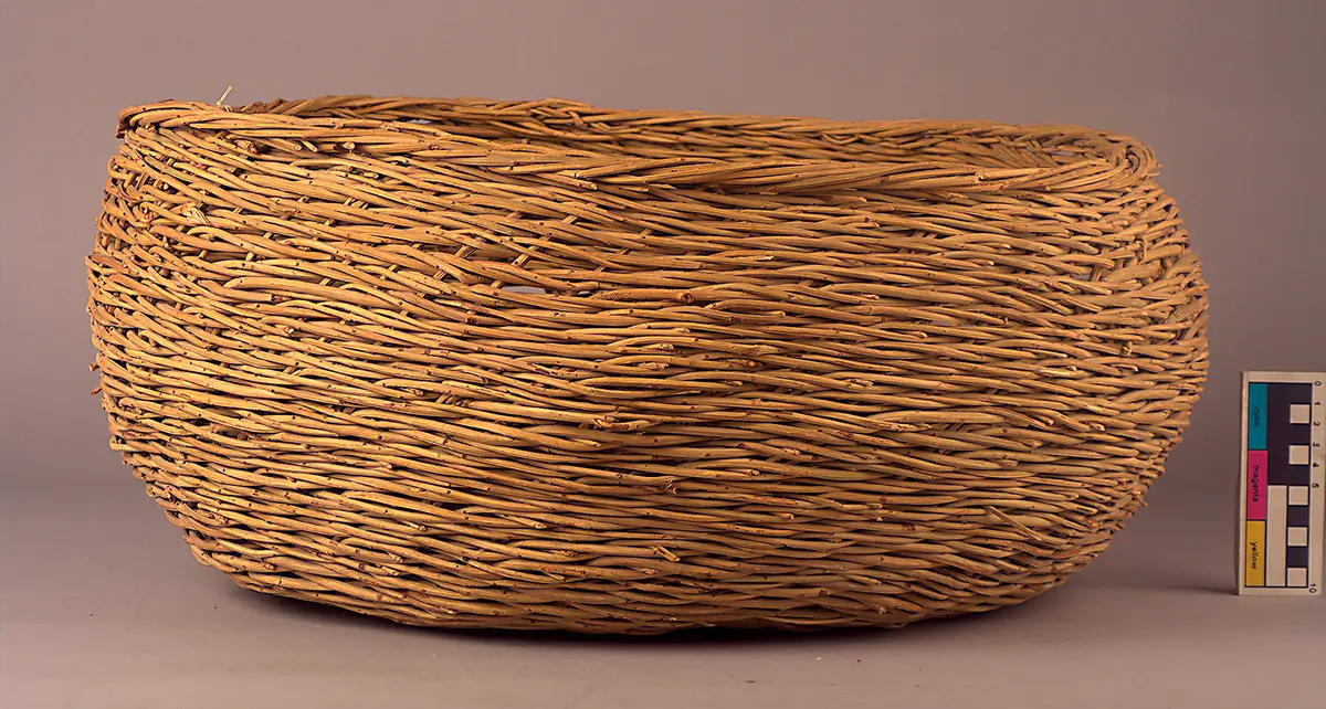 basket