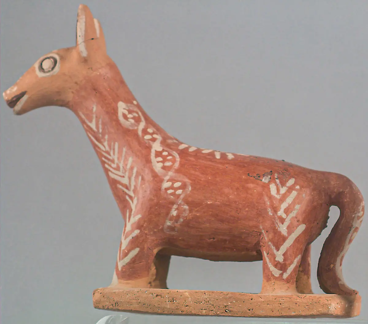 Llama or alpaca savongs bank