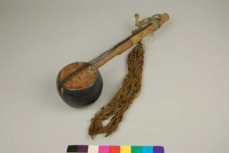 Saiteninstrument
