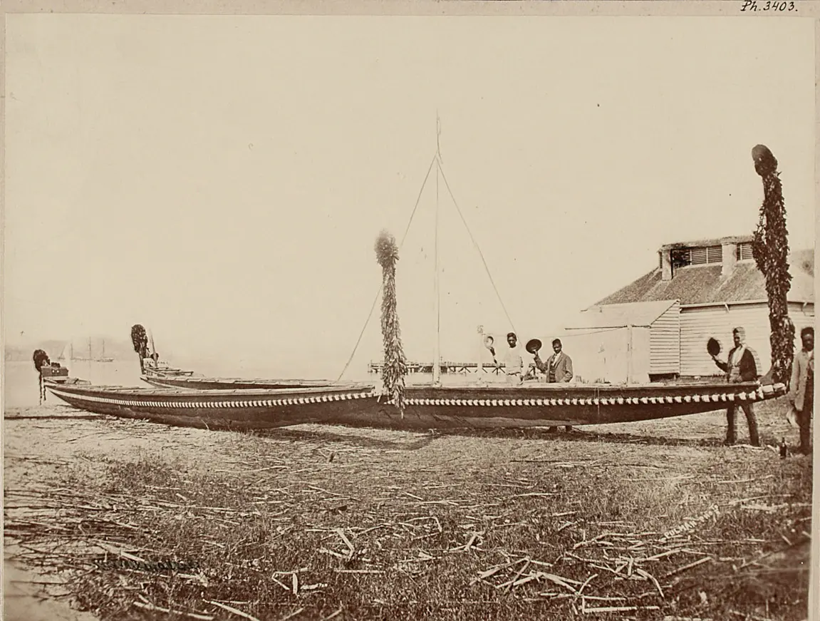 Waka tana, Maori war-canoe, decorated with feathers, at a rowing competition in North-Shore near Auckland