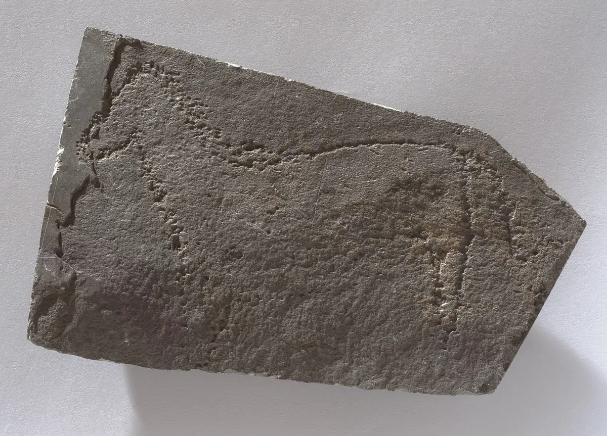 Felsgravierung: Zebra