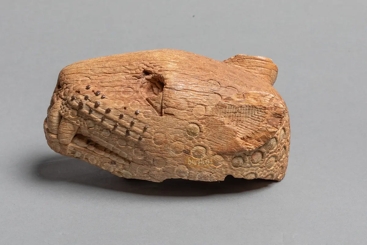 Leopard Head
