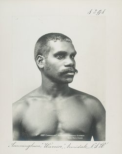 "Cunninghun", Warrior, Armidale, N.S.W.