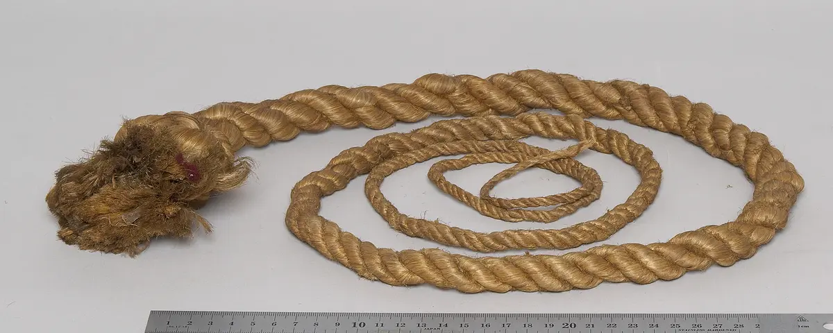 Peitsche