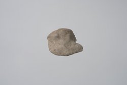 Fragment einer Lehmfigur: Strauß?