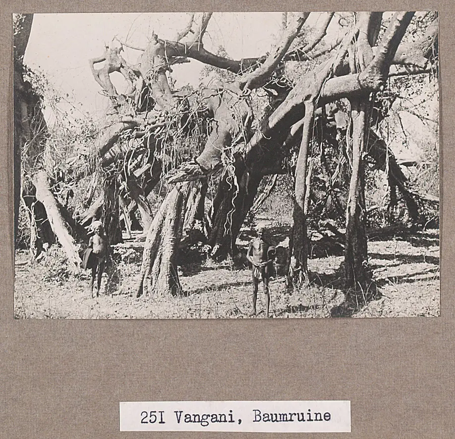 251 Vangani, Baumruine
