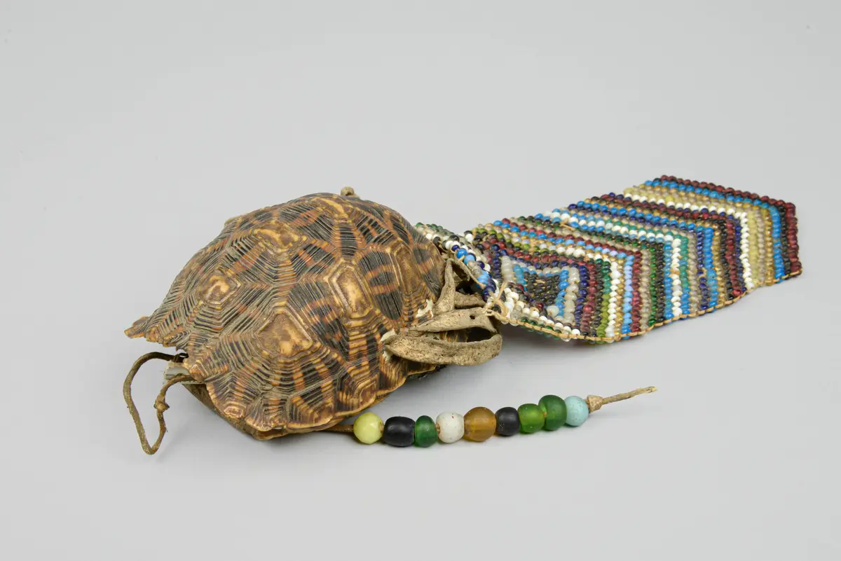 Schildkrötenpanzerbehälter