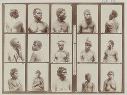 Aboriginal warrior, Bogan River tribe, N.S.W.