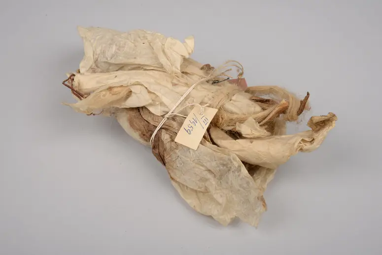 Materialprobe Papierherstellung