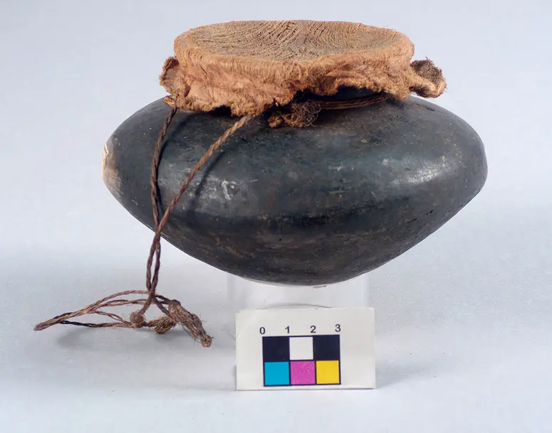 Vessel with arrow poison Curare