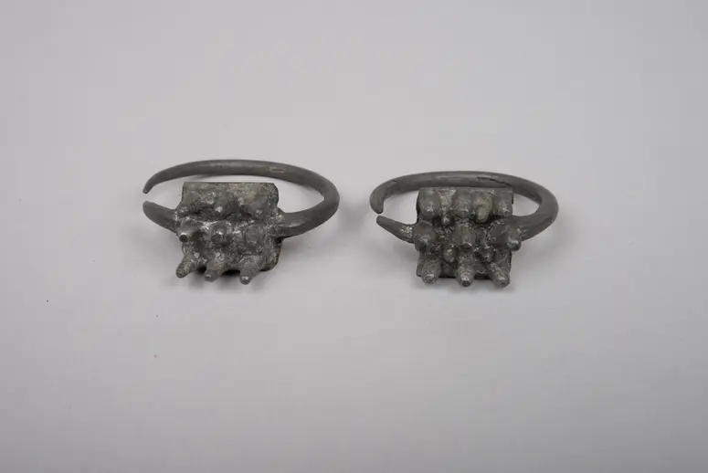 Paar Ohrschmuck