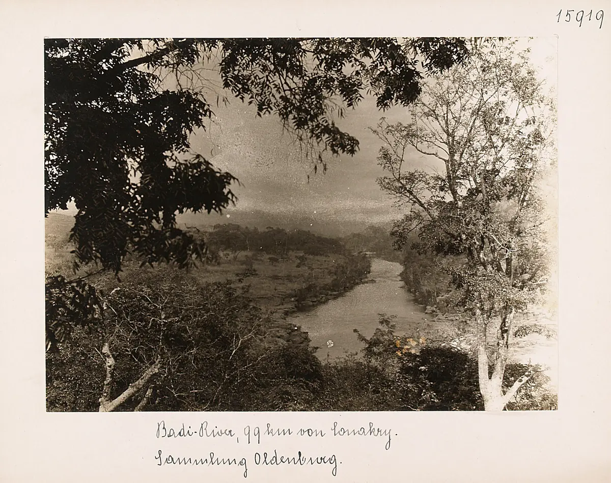 Badi-River, 99 km von Conakry