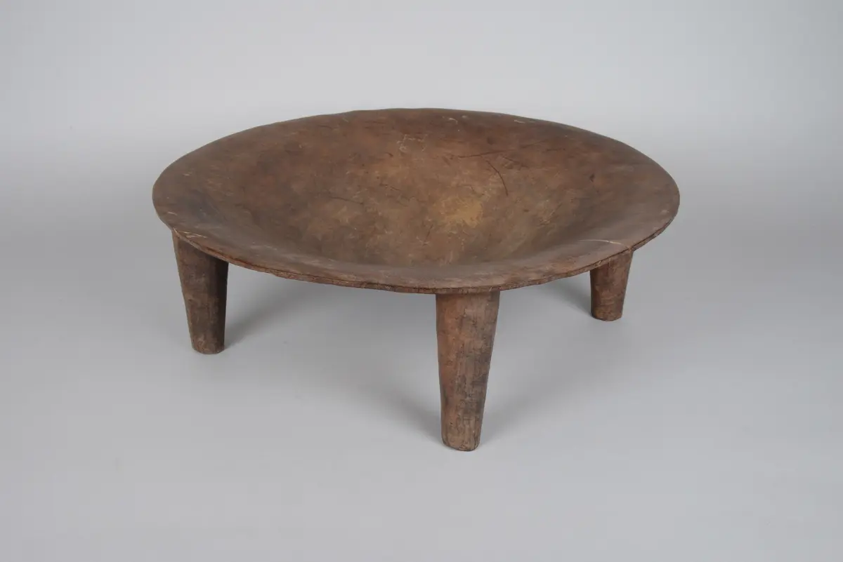 Dish
