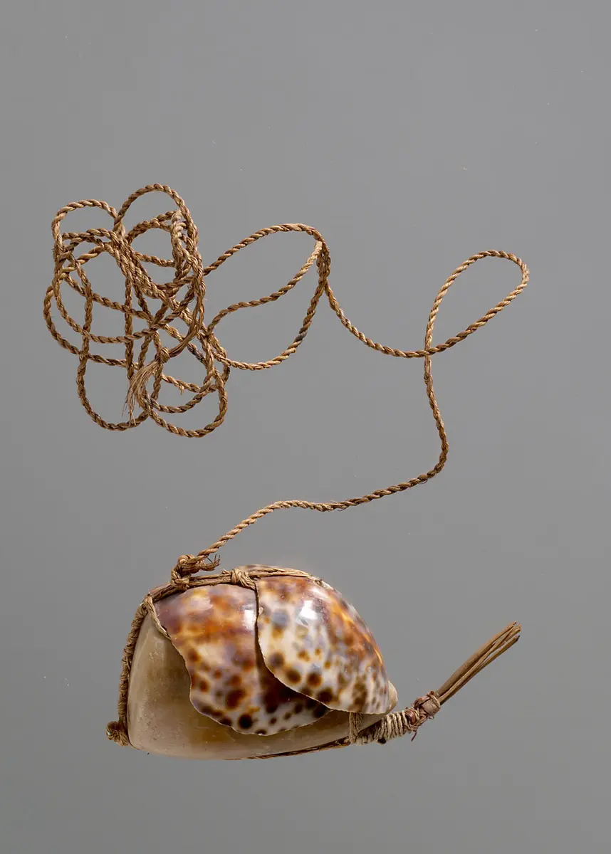 Hook for catching octopus
